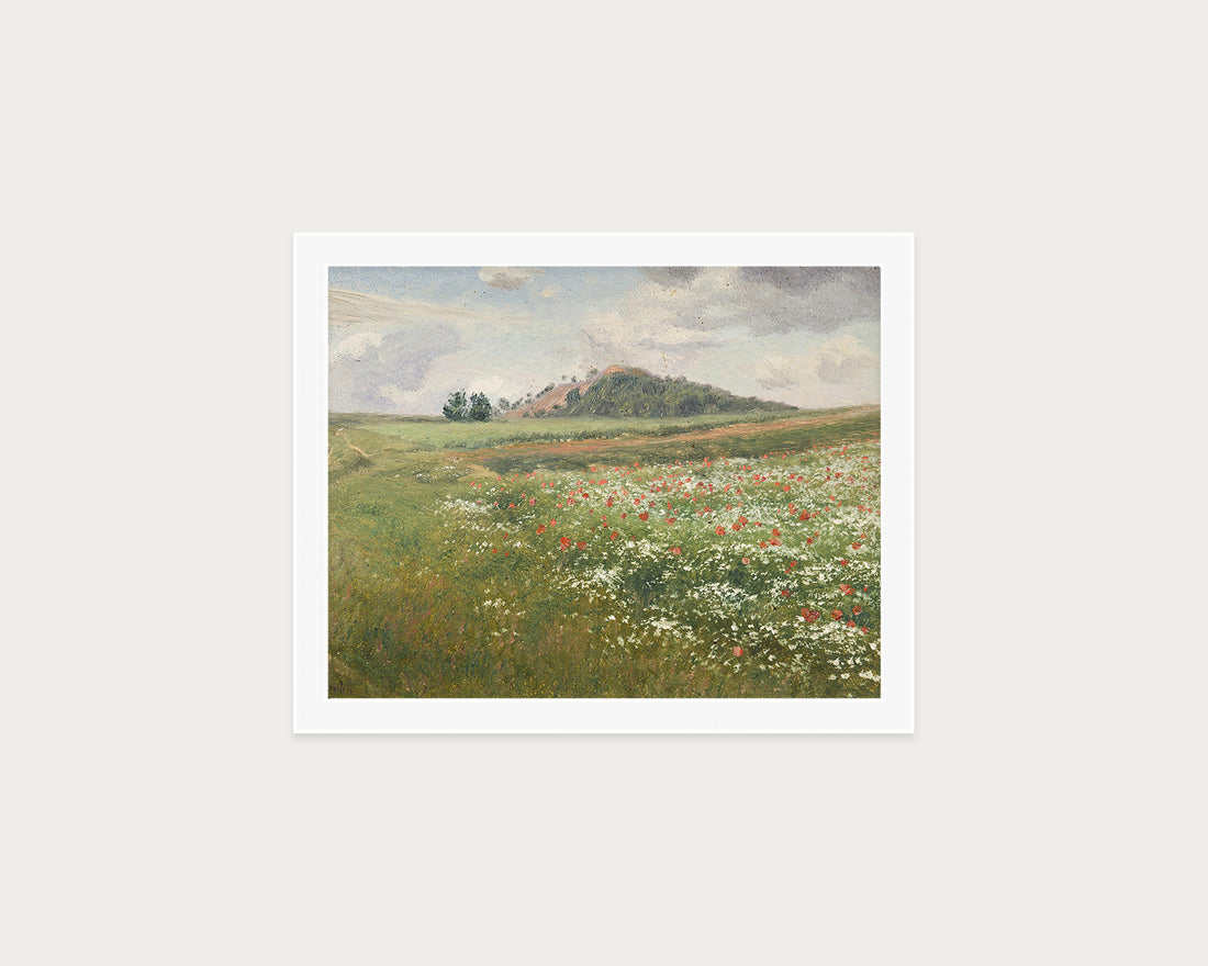 Poppy Fields