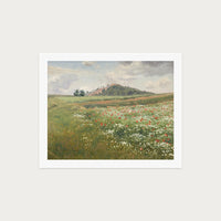 Poppy Fields