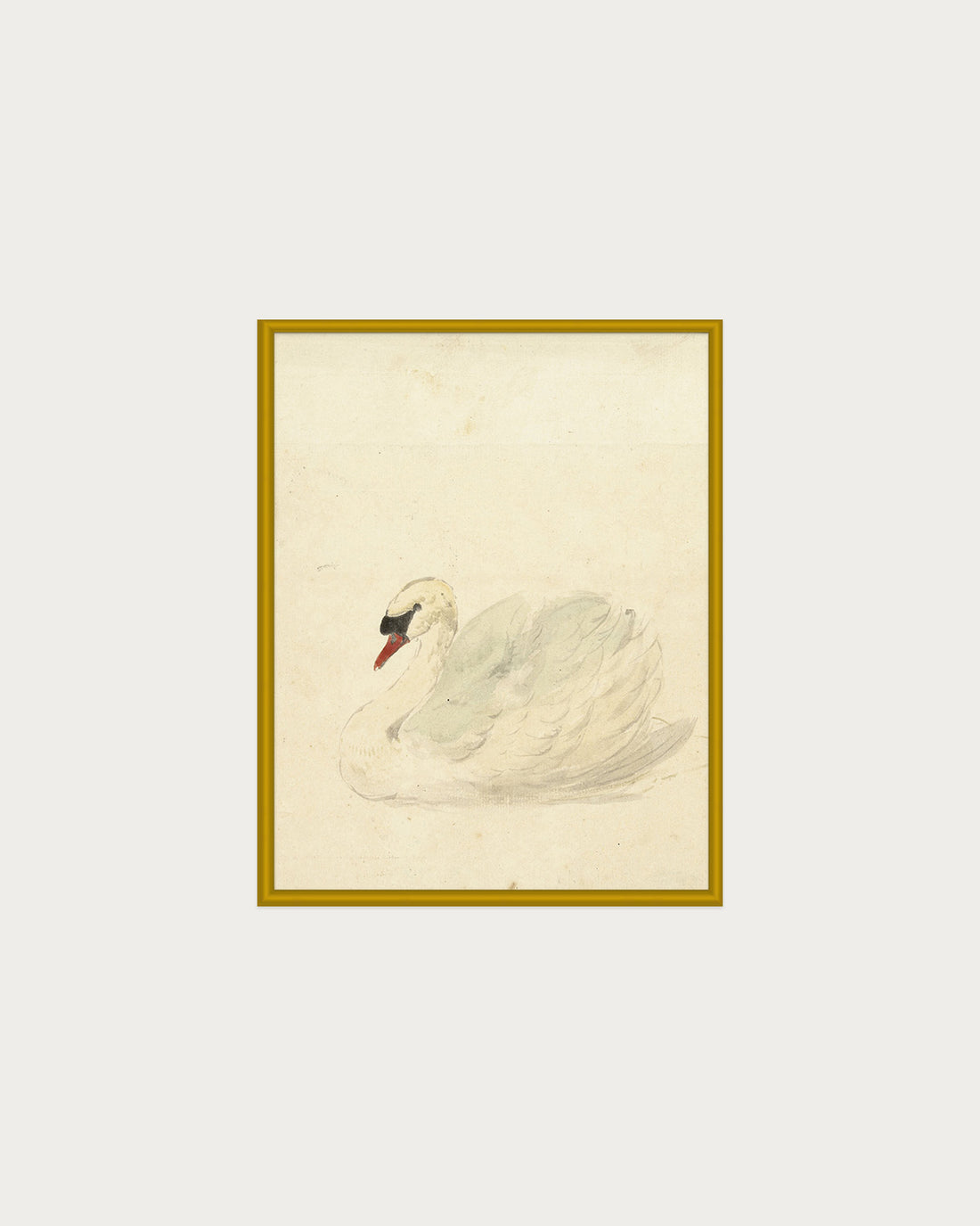 The Swan