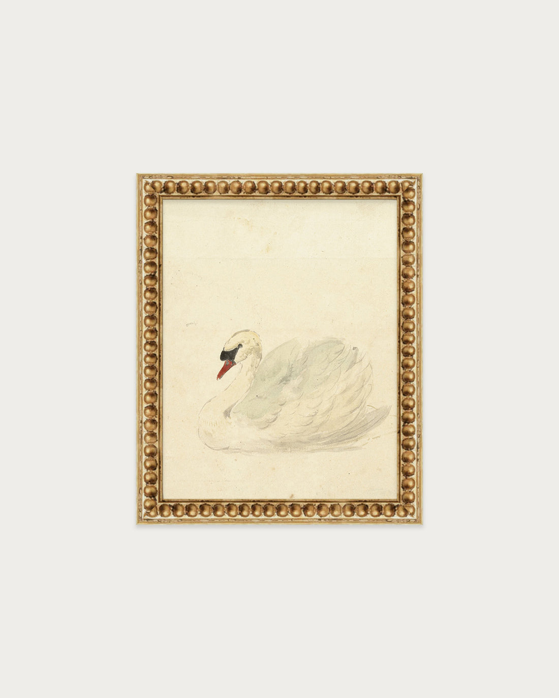 The Swan