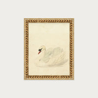 The Swan