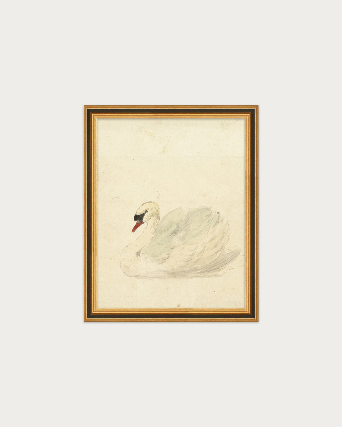 The Swan