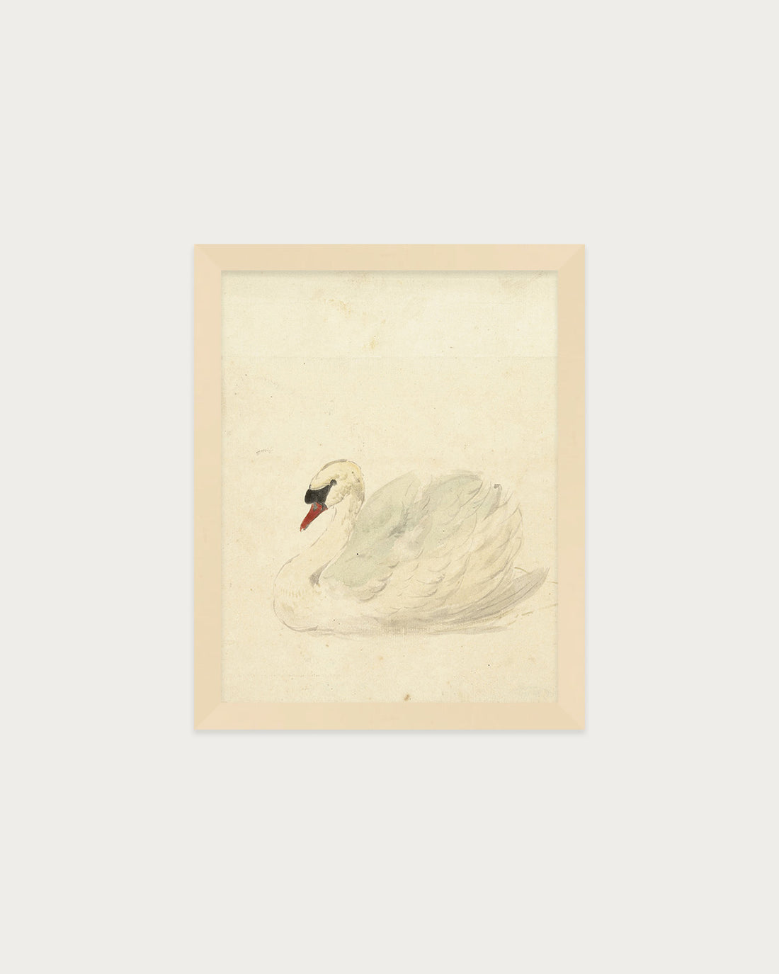 The Swan