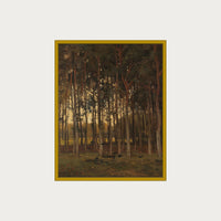 Dawn in the Woods