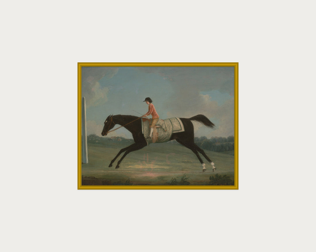 Derby Rider