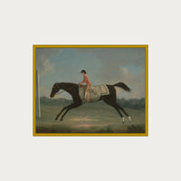 Derby Rider