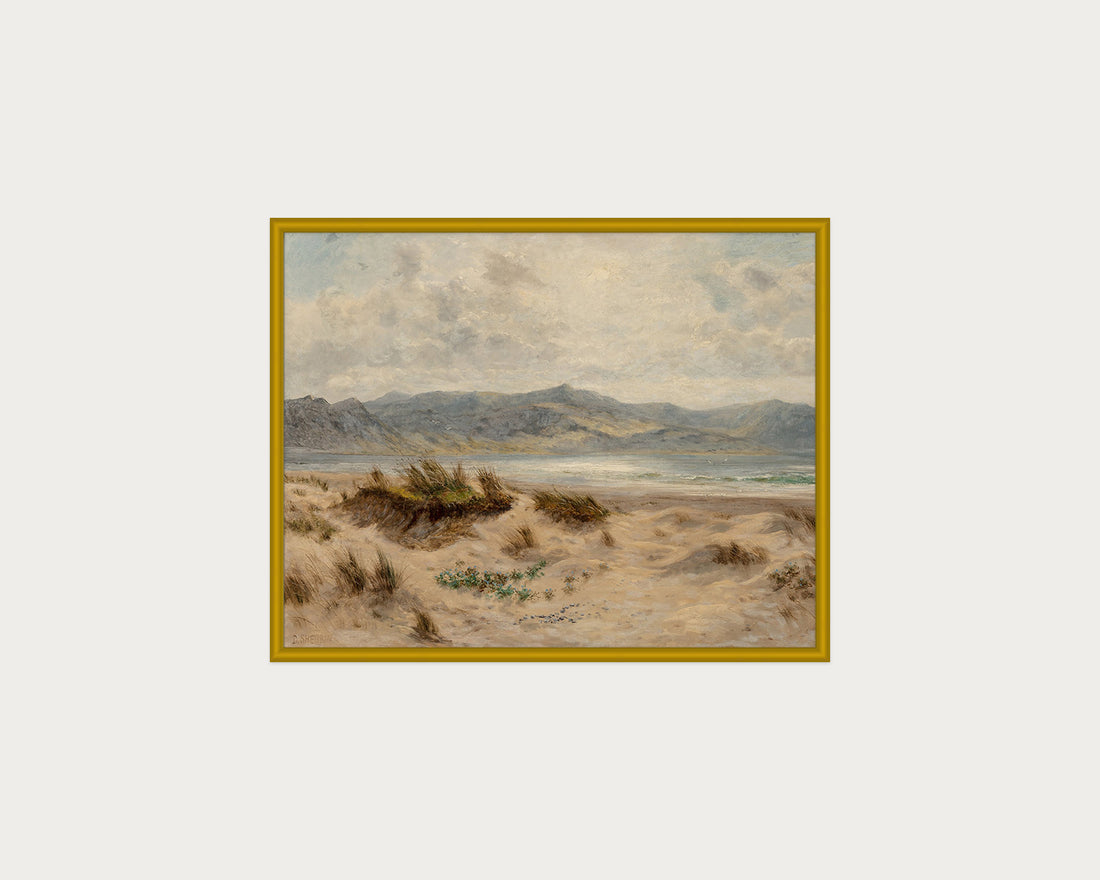 Dunes on the Welsh Coast