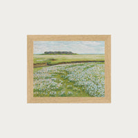 Fields in Bloom