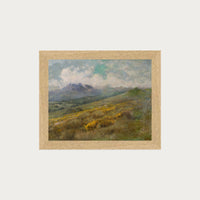 Golden Fields
