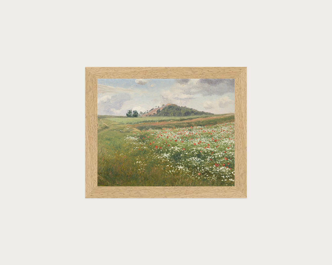 Poppy Fields