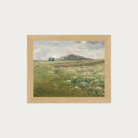 Poppy Fields