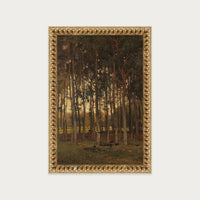 Dawn in the Woods