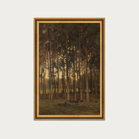 Dawn in the Woods
