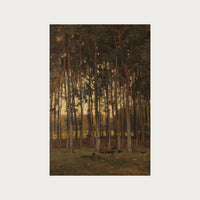 Dawn in the Woods