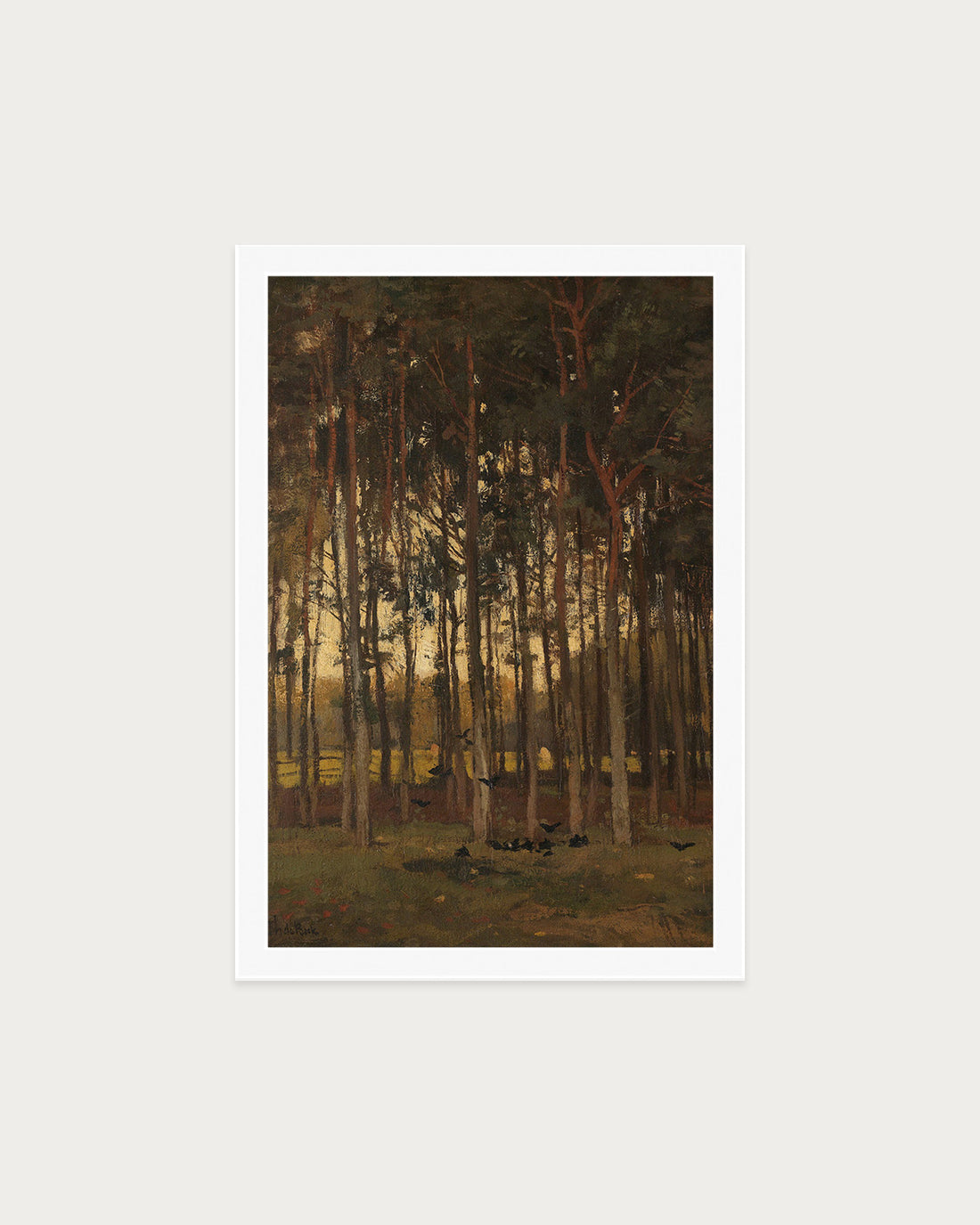 Dawn in the Woods