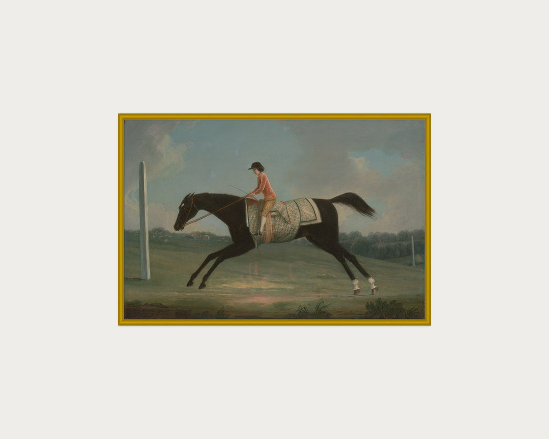 Derby Rider