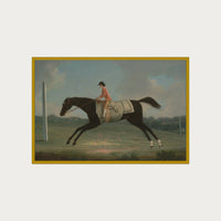 Derby Rider