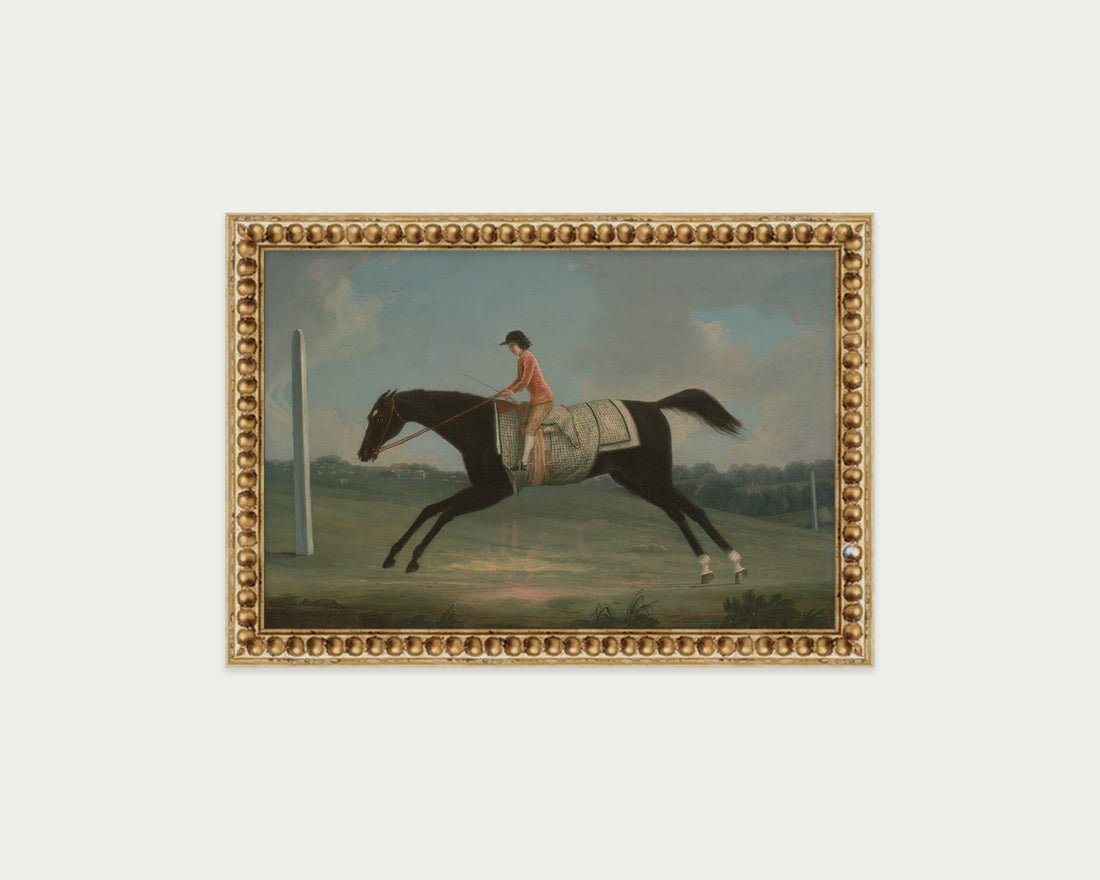 Derby Rider