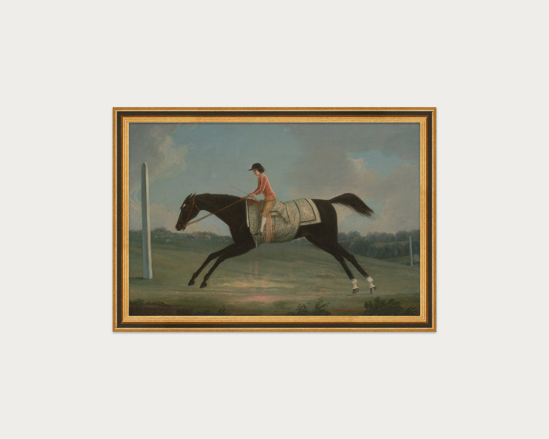 Derby Rider