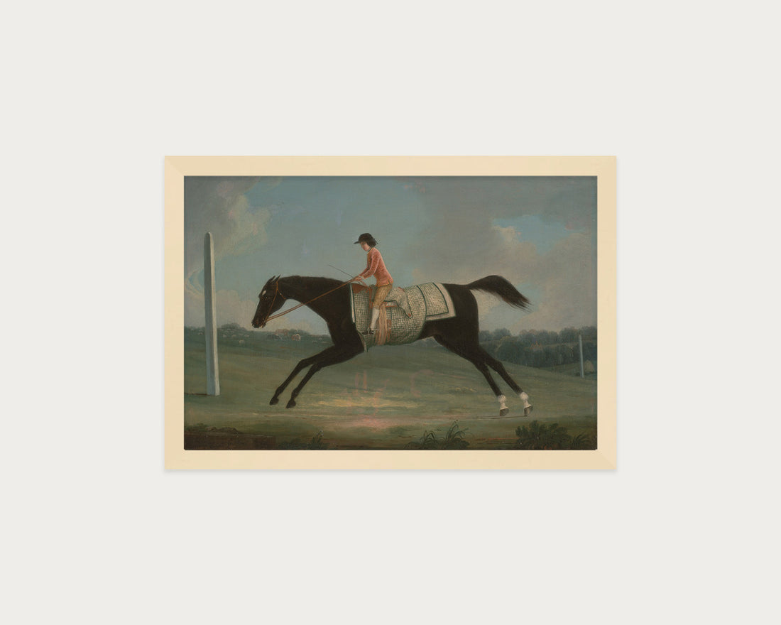 Derby Rider