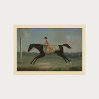 Derby Rider