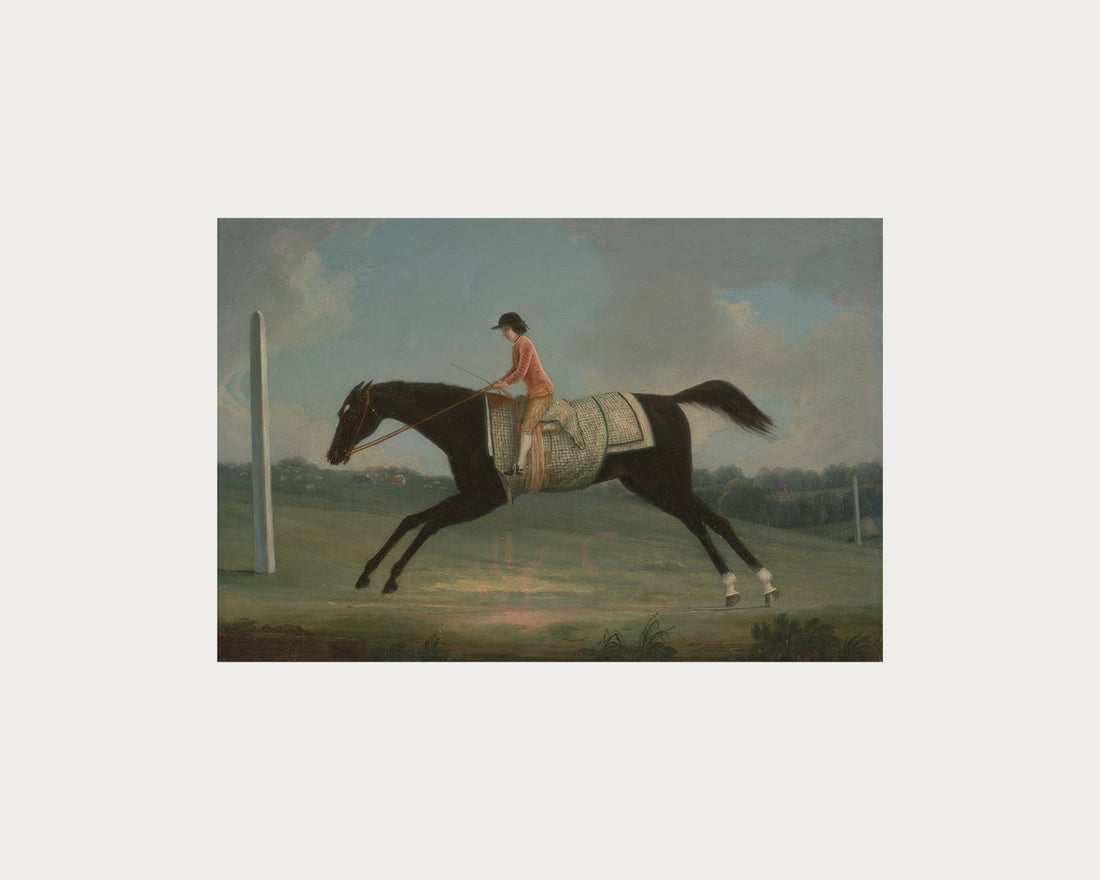 Derby Rider