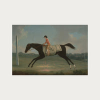 Derby Rider