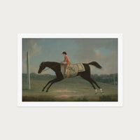 Derby Rider