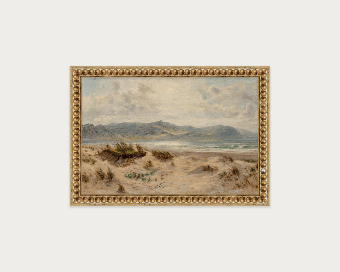 Dunes on the Welsh Coast