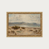 Dunes on the Welsh Coast