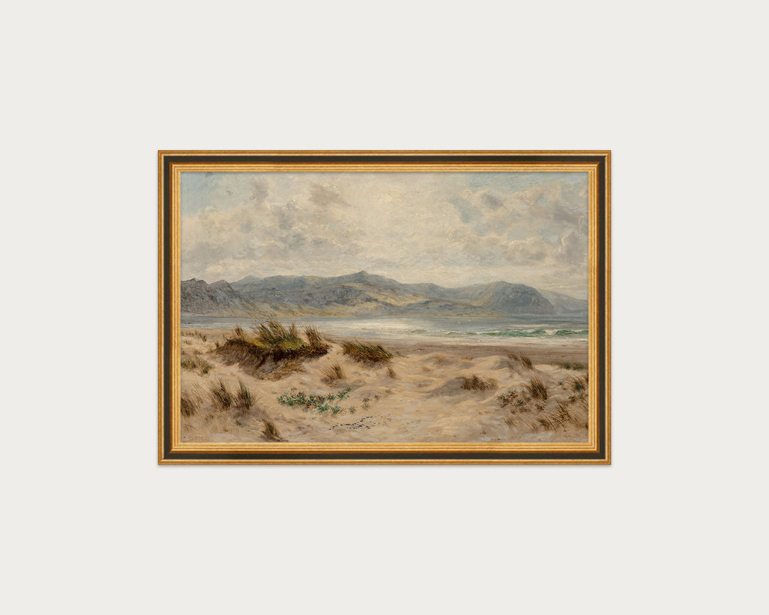 Dunes on the Welsh Coast
