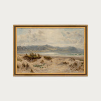 Dunes on the Welsh Coast