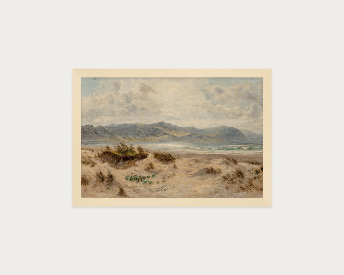 Dunes on the Welsh Coast