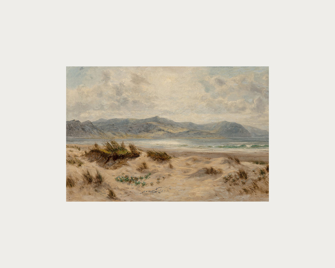 Dunes on the Welsh Coast