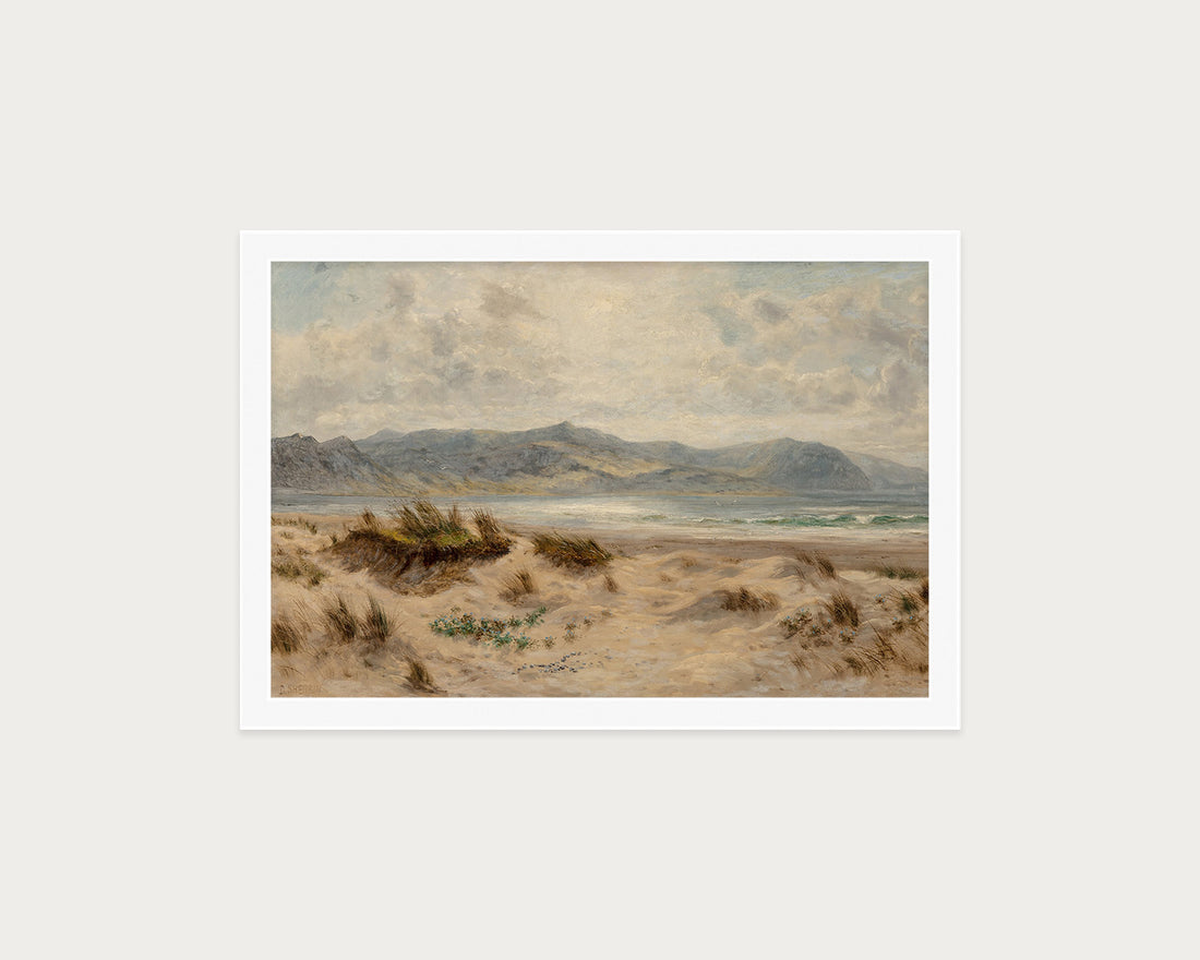 Dunes on the Welsh Coast