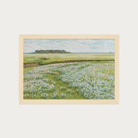 Fields in Bloom