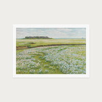 Fields in Bloom