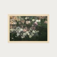 Garden in May