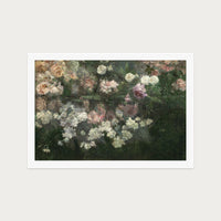 Garden in May