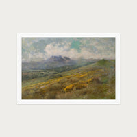 Golden Fields