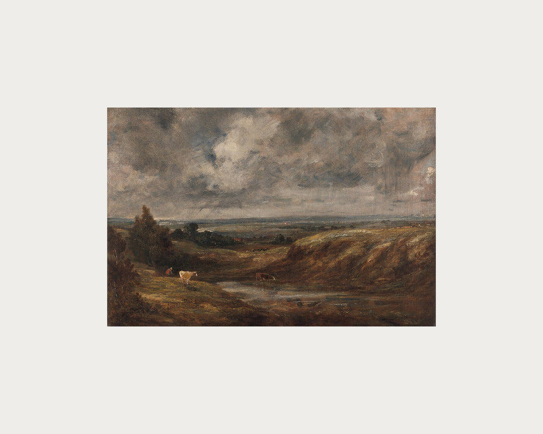 Hampstead Heath