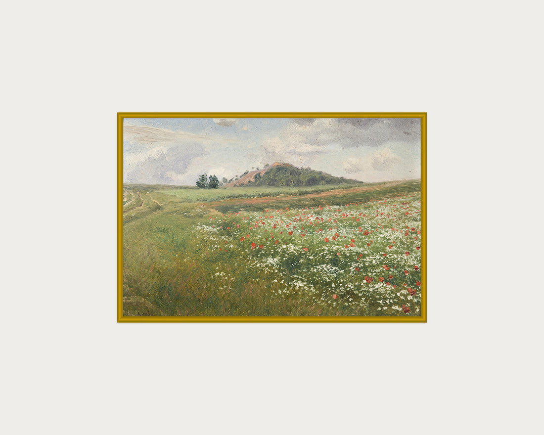 Poppy Fields