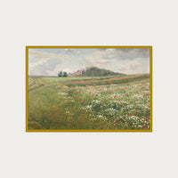 Poppy Fields