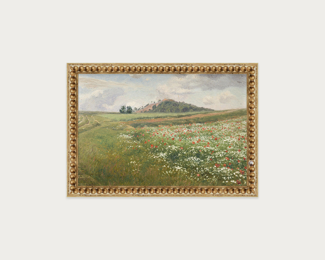 Poppy Fields