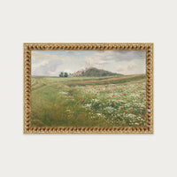 Poppy Fields
