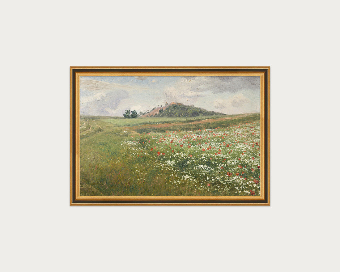 Poppy Fields