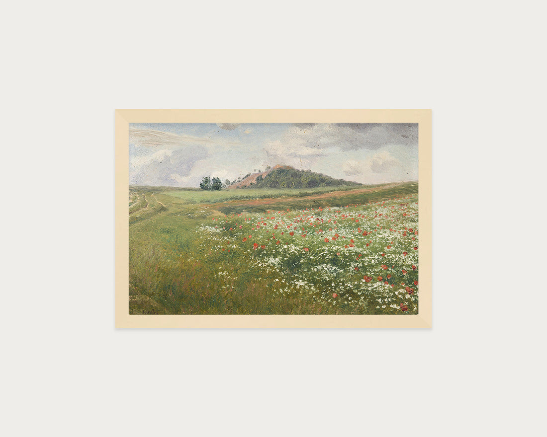 Poppy Fields