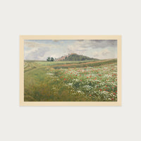 Poppy Fields