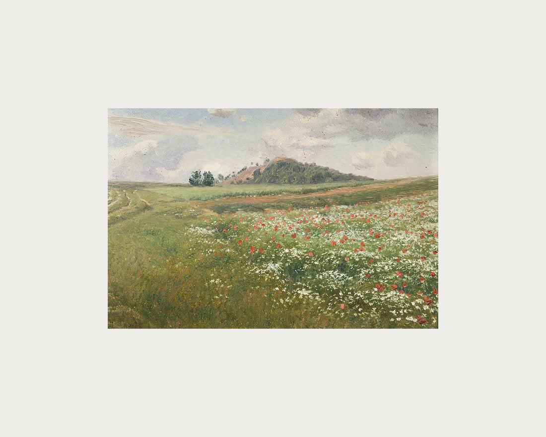 Poppy Fields