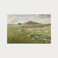 Poppy Fields